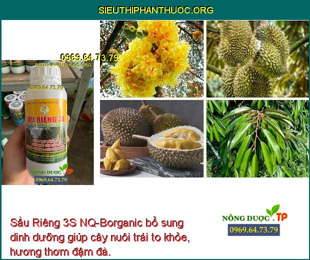 Sầu Riêng 3S NQ-Borganic bổ sung dinh dưỡng giúp cây nuôi trái to khỏe, hương thơm đậm đà.