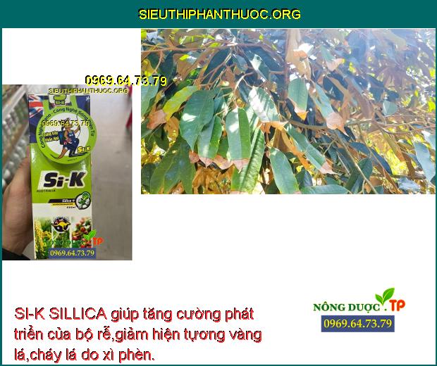 SI-K SILLICA giúp tăng cường phát triển của bộ rễ,giảm hiện tựơng vàng lá,cháy lá do xì phèn.