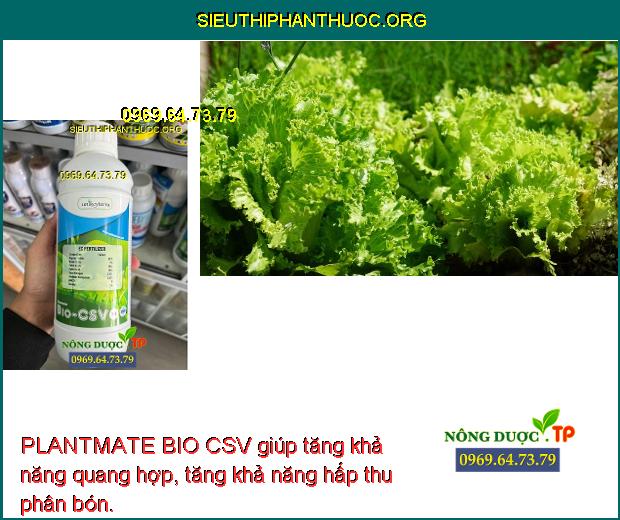 PLANTMATE BIO CSV giúp tăng khả năng quang hợp, tăng khả năng hấp thu phân bón.