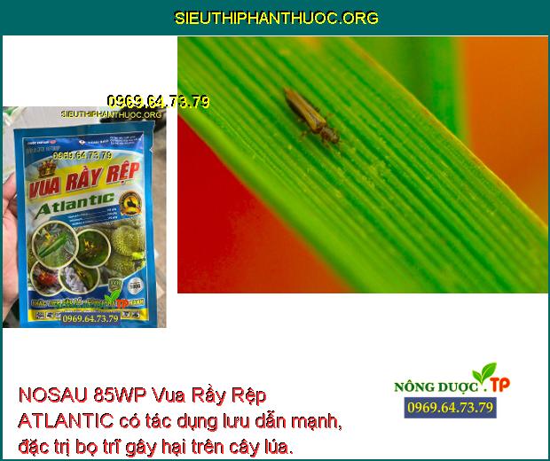 NOSAU 85WP Vua Rầy Rệp ATLANTIC- Đặc Trị Rầy Xanh- Nhện Đỏ- Bọ Trĩ- Rệp ...