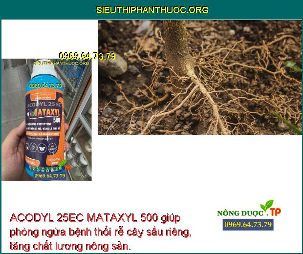 ACODYL 25EC MATAXYL 500 giúp phòng ngừa bệnh thối rễ cây sầu riêng, tăng chất lương nông sản.