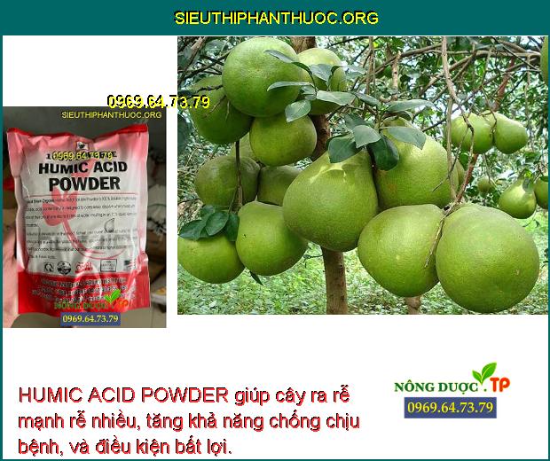 HUMIC ACID POWDER