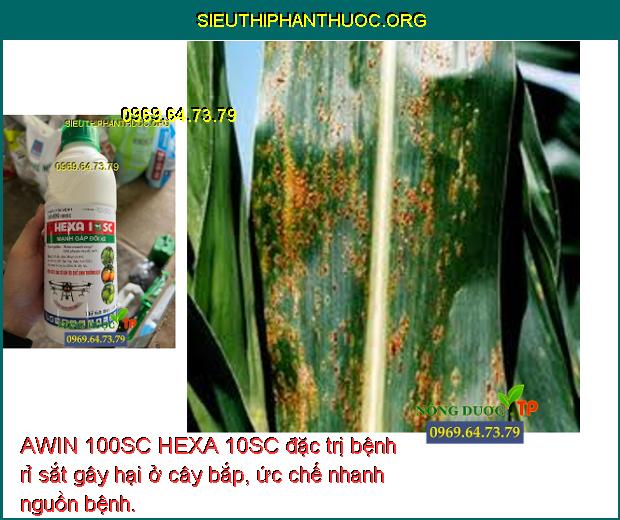 AWIN 100SC HEXA 10SC đặc trị bệnh rỉ sắt gây hại ở cây bắp, ức chế nhanh nguồn bệnh.