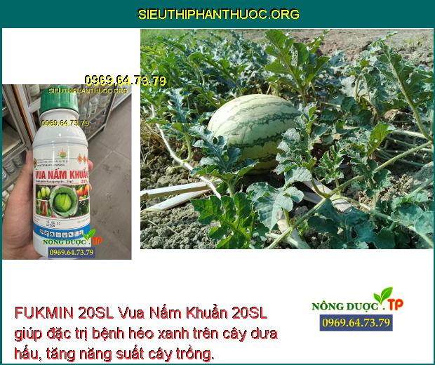 FUKMIN 20SL Vua Nấm Khuẩn 20SL giúp đặc trị bệnh héo xanh trên cây dưa hấu, tăng năng suất cây trồng.