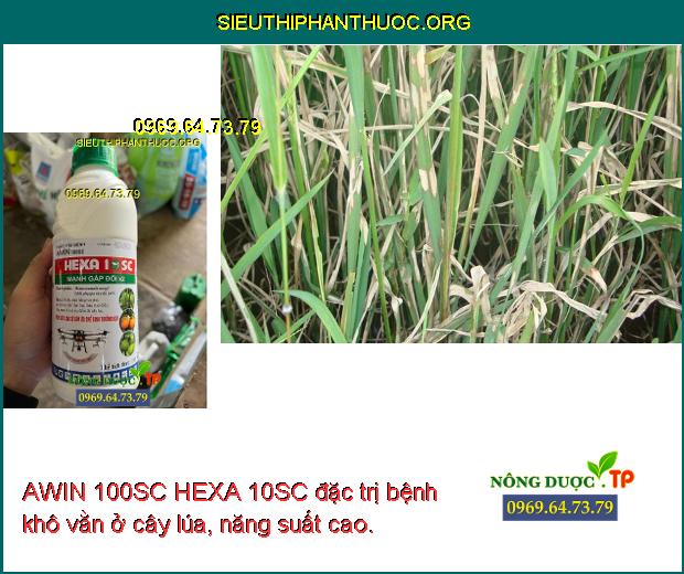 AWIN 100SC HEXA 10SC đặc trị bệnh khô vằn ở cây lúa, năng suất cao.