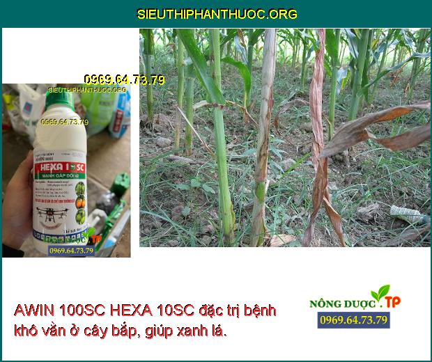 AWIN 100SC HEXA 10SC đặc trị bệnh khô vằn ở cây bắp, giúp xanh lá.