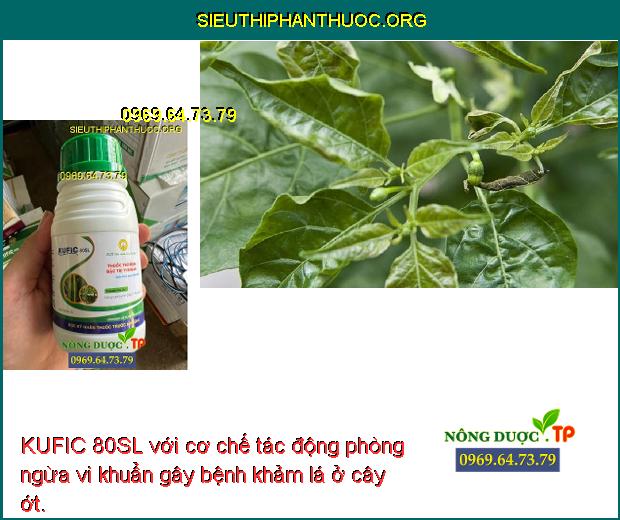 KUFIC 80SL với cơ chế tác động phòng ngừa vi khuẩn gây bệnh khảm lá ở cây ớt.