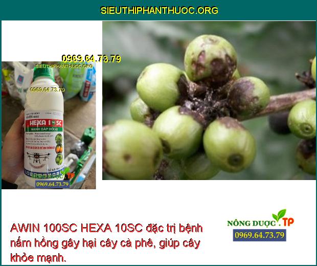 AWIN 100SC HEXA 10SC đặc trị bệnh nấm hồng gây hại cây cà phê, giúp cây khỏe mạnh.