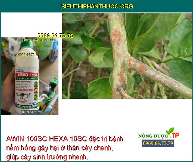 AWIN 100SC HEXA 10SC đặc trị bệnh nấm hồng gây hại ở thân cây chanh, giúp cây sinh trưởng nhanh.