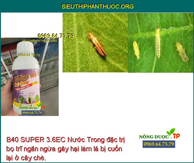 B40 SUPER 3.6EC Nước Trong đặc trị bọ trĩ ngăn ngừa gây hại làm lá bị cuốn lại ở cây chè.