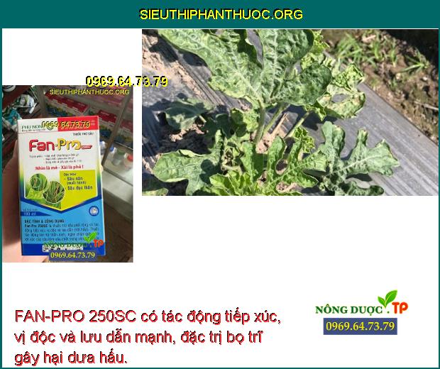 FAN-PRO 250SC có tác động tiếp xúc, vị độc và lưu dẫn mạnh, đặc trị bọ trĩ gây hại dưa hấu.