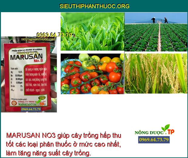 MARUSAN NO3 giúp cây trồng hấp thu tốt các loại phân thuốc ở mức cao nhất, làm tăng năng suất cây trồng.