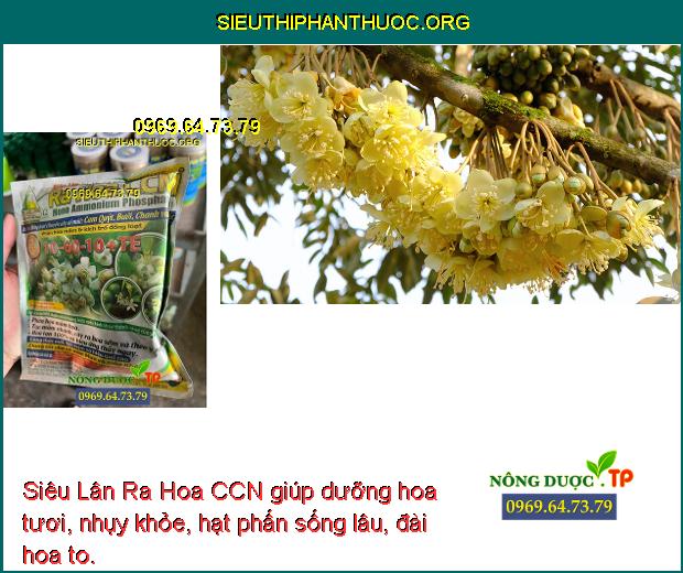 Siêu Lân Ra Hoa CCN giúp dưỡng hoa tươi, nhụy khỏe, hạt phấn sống lâu, đài hoa to.