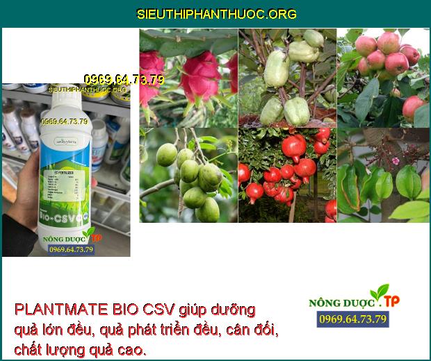 PLANTMATE BIO CSV giúp dưỡng quả lớn đều, quả phát triển đều, cân đối, chất lượng quả cao.