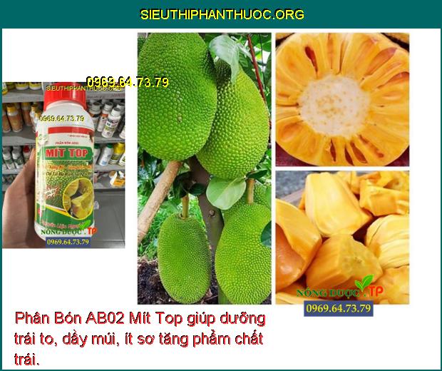 Phân Bón AB02 Mít Top giúp dưỡng trái to, dầy múi, ít sơ tăng phẩm chất trái.