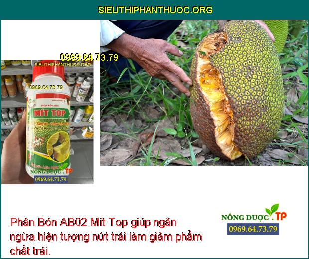 Phân Bón AB02 Mít Top giúp ngăn ngừa hiện tượng nứt trái làm giảm phẩm chất trái.
