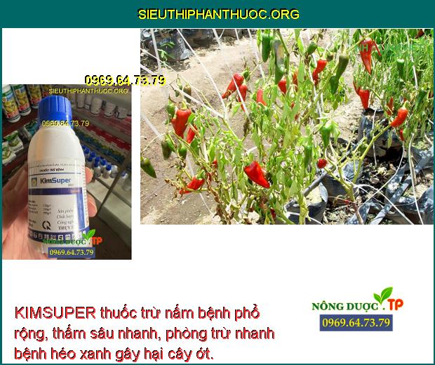 KIMSUPER thuốc trừ nấm bệnh phổ rộng, thấm sâu nhanh, phòng trừ nhanh bệnh héo xanh gây hại cây ớt.
