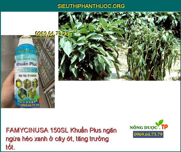 FAMYCINUSA 150SL Khuẩn Plus ngăn ngừa héo xanh ở cây ớt, tăng trưởng tốt.
