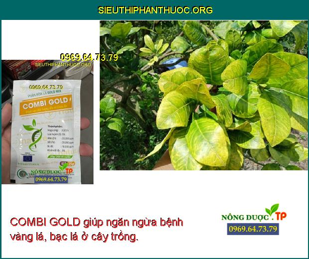 COMBI GOLD giúp ngăn ngừa bệnh vàng lá, bạc lá ở cây trồng.