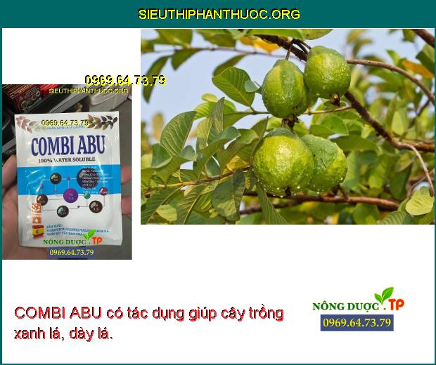 COMBI ABU có tác dụng giúp cây trồng xanh lá, dày lá.