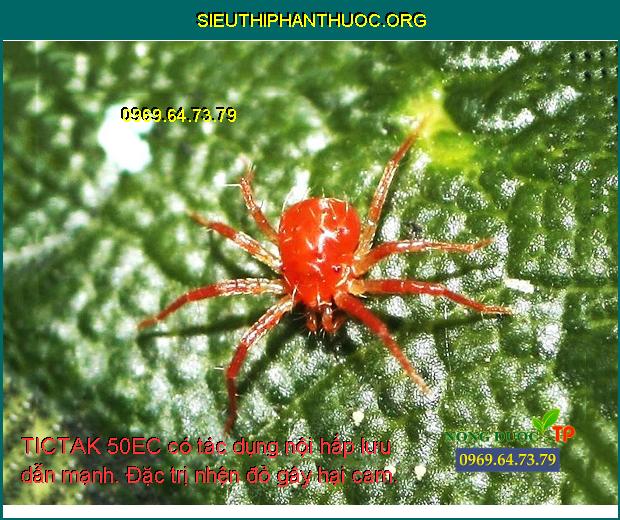 TICTAK 50EC có tác dụng nội hấp lưu dẫn mạnh. Đặc trị nhện đỏ gây hại cam.