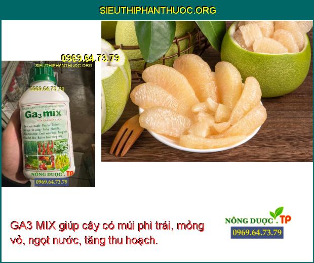 GA3 MIX giúp cây có múi phì trái, mỏng vỏ, ngọt nước, tăng thu hoạch.