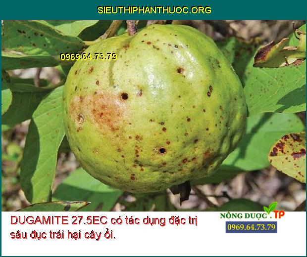 DUGAMITE 27.5EC có tác dụng đặc trị sâu đục trái hại cây ổi.