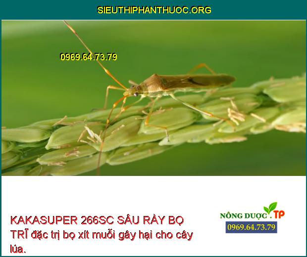 KAKASUPER 266SC SÂU RẦY BỌ TRĨ đặc trị bọ xít muỗi gây hại cho cây lúa.