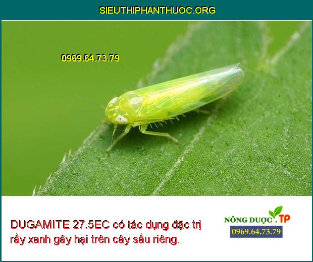 DUGAMITE 27.5EC có tác dụng đặc trị rầy xanh gây hại trên cây sầu riêng.