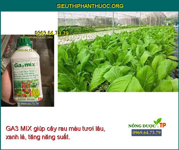 GA3 MIX giúp cây rau màu tươi lâu, xanh lá, tăng năng suất. 