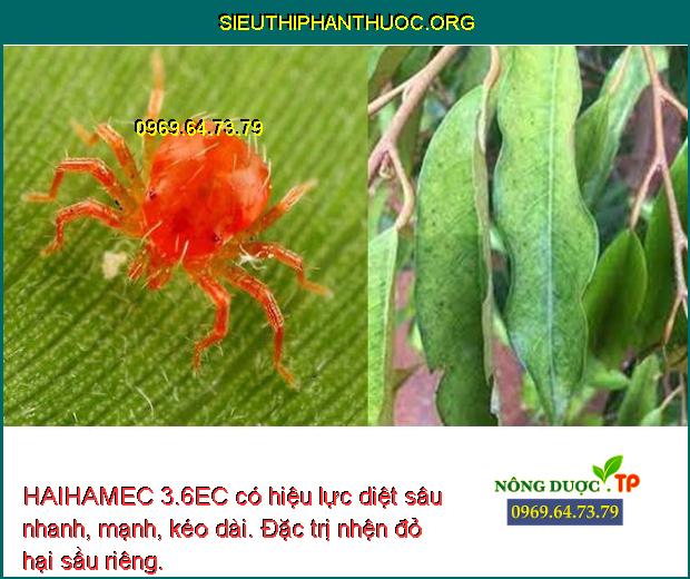 HAIHAMEC 3.6EC có hiệu lực diệt sâu nhanh, mạnh, kéo dài. Đặc trị nhện đỏ hại sầu riêng.