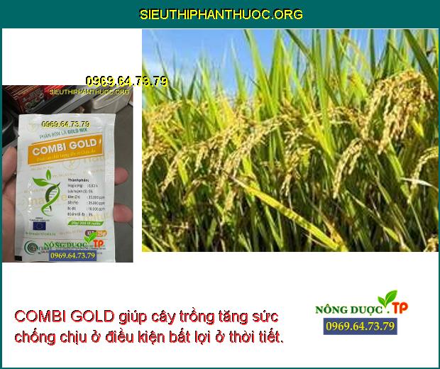 COMBI GOLD giúp cây trồng tăng sức chống chịu ở điều kiện bất lợi ở thời tiết.