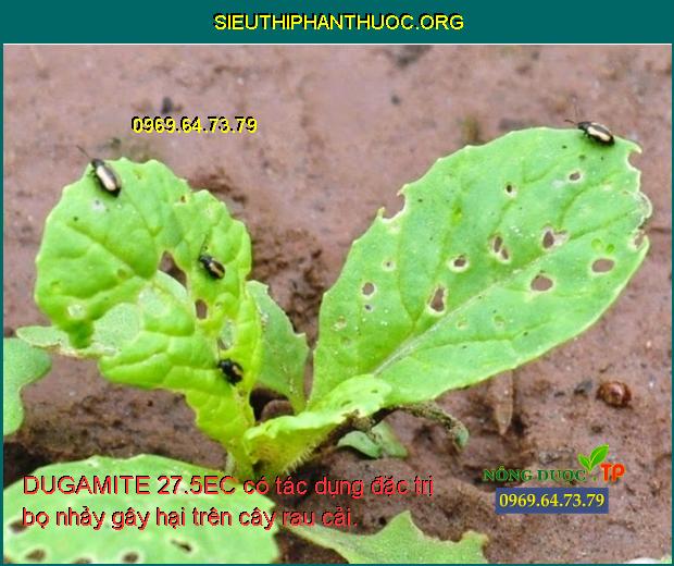 DUGAMITE 27.5EC có tác dụng đặc trị bọ nhảy gây hại trên cây rau cải.
