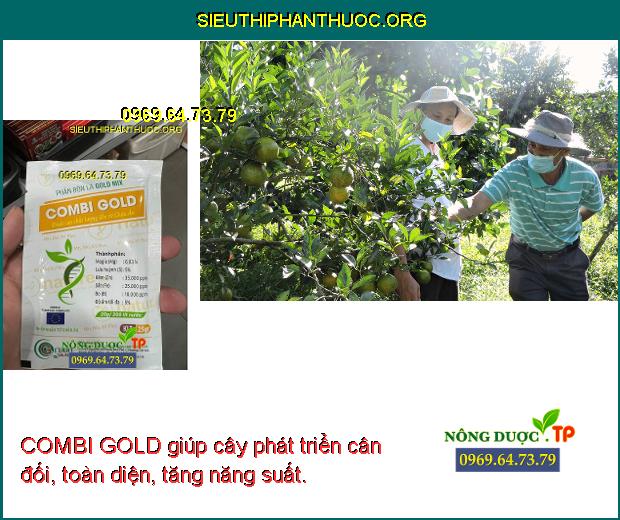 COMBI GOLD giúp cây phát triển cân đối, toàn diện, tăng năng suất.