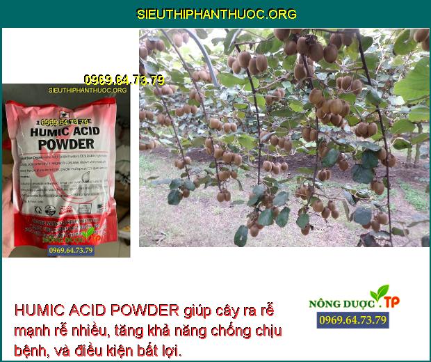 HUMIC ACID POWDER