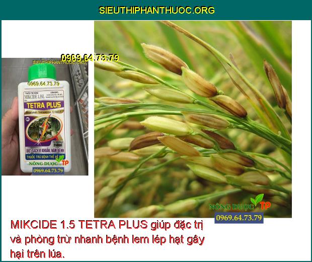 MIKCIDE 1.5 TETRA PLUS giúp đặc trị và phòng trừ nhanh bệnh lem lép hạt gây hại trên lúa.