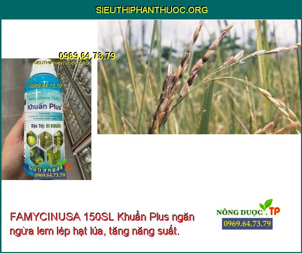 FAMYCINUSA 150SL Khuẩn Plus ngăn ngừa lem lép hạt lúa, tăng năng suất.