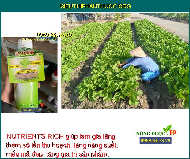 NUTRIENTS RICH giúp làm gia tăng thêm số lần thu hoạch, tăng năng suất, mẫu mã đẹp, tăng giá trị sản phẩm.