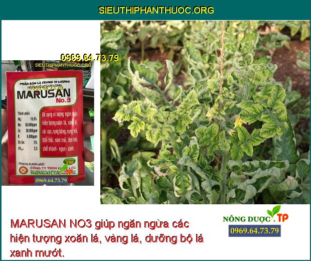 MARUSAN NO3 giúp ngăn ngừa các hiện tượng xoăn lá, vàng lá, dưỡng bộ lá xanh mướt.