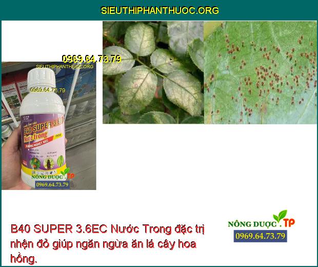 B40 SUPER 3.6EC Nước Trong đặc trị nhện đỏ giúp ngăn ngừa ăn lá cây hoa hồng.