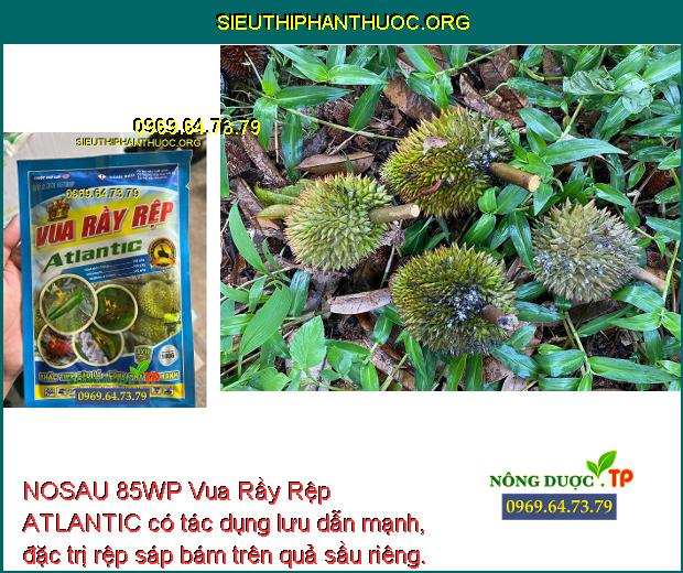 NOSAU 85WP Vua Rầy Rệp ATLANTIC- Đặc Trị Rầy Xanh- Nhện Đỏ- Bọ Trĩ- Rệp ...