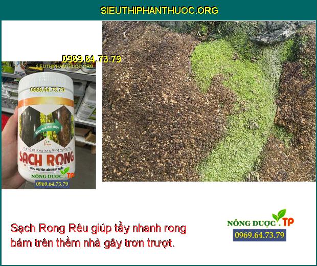 Sạch Rong Rêu- Tẩy Sạch Rong Rêu Trên Thân Cây Trồng- Rong Bám Thềm Nhà ...