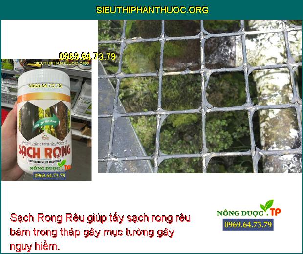 Sạch Rong Rêu- Tẩy Sạch Rong Rêu Trên Thân Cây Trồng- Rong Bám Thềm Nhà ...