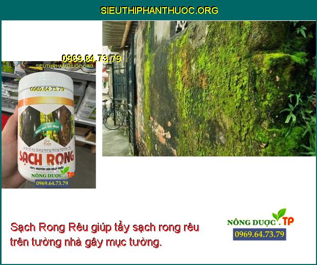 Sạch Rong Rêu giúp tẩy sạch rong rêu trên tường nhà gây mục tường.