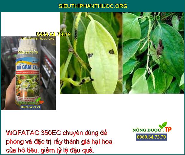 WOFATAC 350EC chuyên dùng để phòng và đặc trị rầy thánh giá hại hoa của hồ tiêu, giảm tỷ lệ đậu quả. 