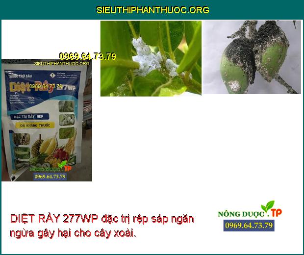DIỆT RẦY 277WP đặc trị rệp sáp ngăn ngừa gây hại cho cây xoài.
