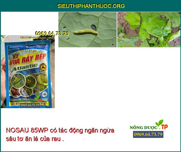 NOSAU 85WP có tác động ngăn ngừa sâu tơ ăn lá của rau .