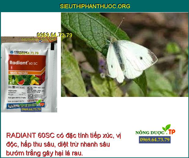 RADIANT 60SC có đặc tính tiếp xúc, vị độc, hấp thu sâu, diệt trừ nhanh sâu bướm trắng gây hại lá rau.
