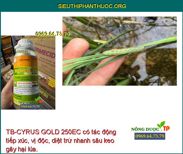 TB-CYRUS GOLD 250EC có tác động tiếp xúc, vị độc, diệt trừ nhanh sâu keo gây hại lúa. 