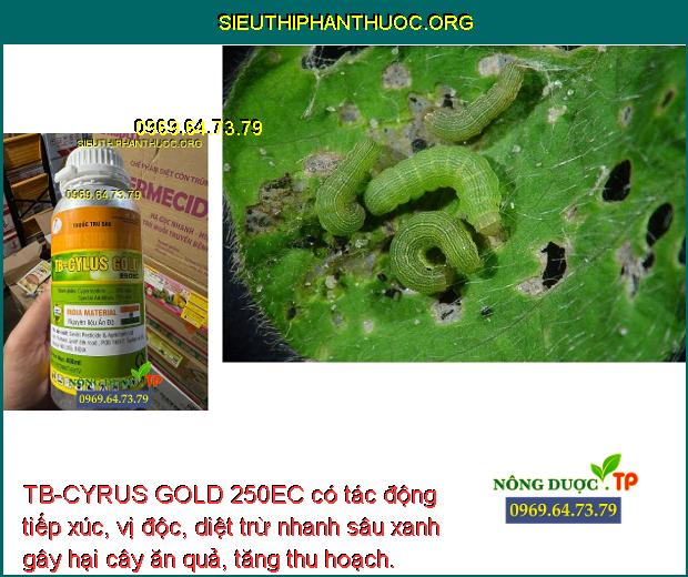 TB-CYRUS GOLD 250EC có tác động tiếp xúc, vị độc, diệt trừ nhanh sâu xanh gây hại cây ăn quả, tăng thu hoạch.